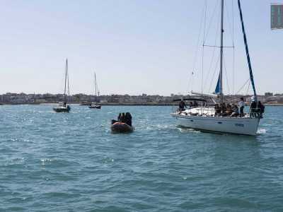 Dall'insenatura salpano cos� cinque imbarcazioni. L'obiettivo � allontanarsi dalla costa di circa un miglio, la distanza consigliabile per evitare il rischio che le nostre protagoniste si imbriglino nuovamente in resti di reti lasciate nel porto